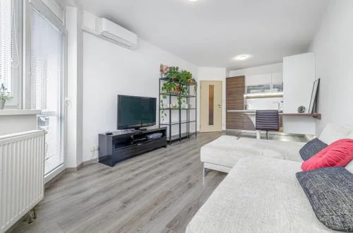 Central, Sunny and Spacious Apartment