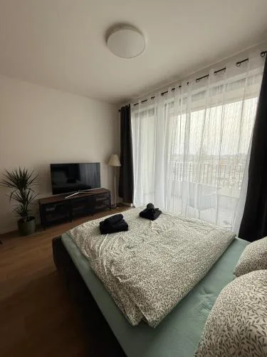 Cozy apartment in downtown