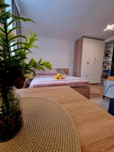 Lovely Studio by the Park