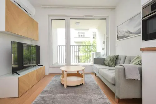 Luxury apartment in city center