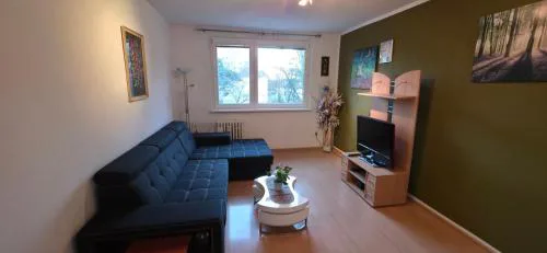 Privatna izba