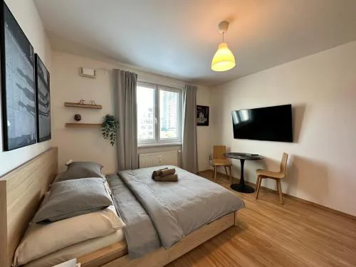 Cozy studio apartment in the wider center