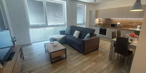 Laura Apartman & private parking
