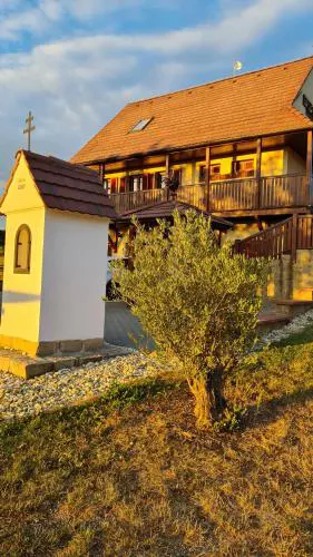 Vinárstvo u Kohúta