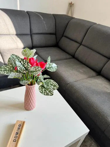 Apartment C25