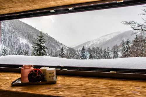 Apartments Srdiecko - JASNA South, FOREST View, SAUNA in One Apt FIREPLACE in Both