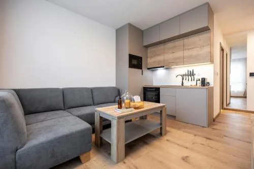 ALURE RESIDENCES 5 & 24h self check-in, private parking in front of the apartment building included, new building, the apartment building has its own park with a lake and outdoor fitness, children's playground, CITY CENTER