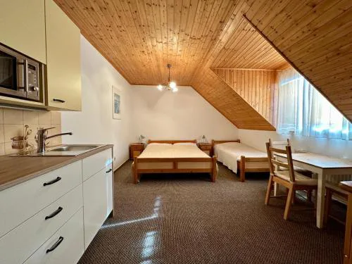 Apartmány v Müllerovom dome