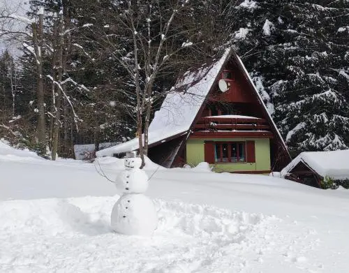 Squirrel cottage