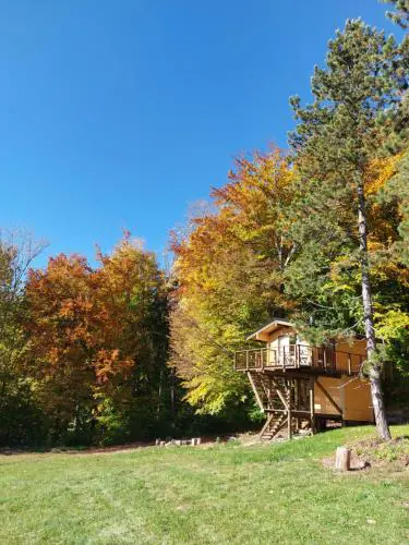 Treetop Tiny House Pod Korunami
