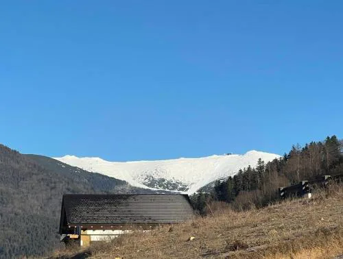 Apartman Teri