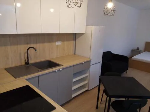 1 Room Apartment