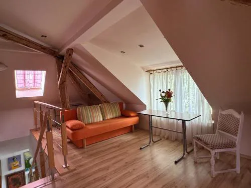 Attic apartment in the center