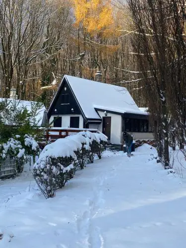 Chata v Karpatoch