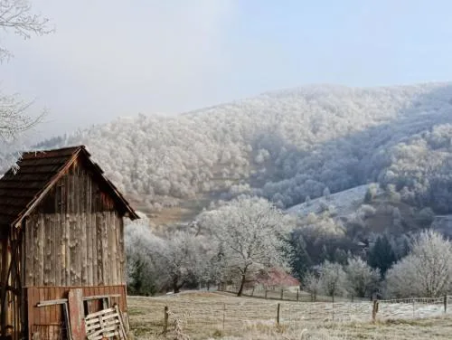 Apartmán na vŕšku