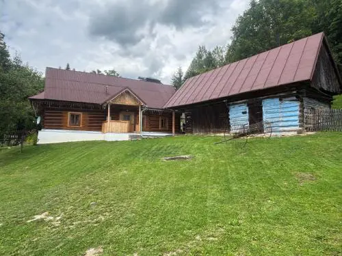 Švajkova chyža
