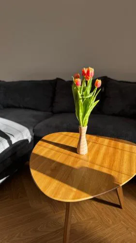 apartmán Nataly