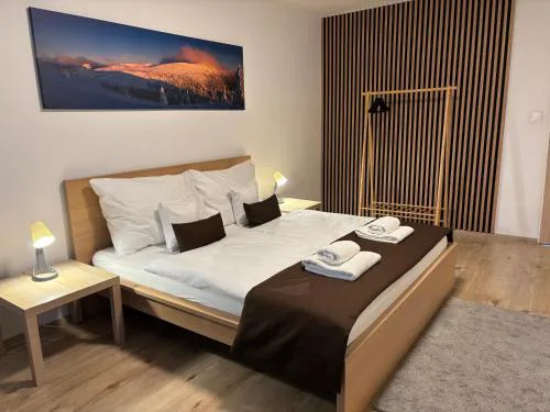Apartmán Centrum Komfort FREE PRIVATE PARKING