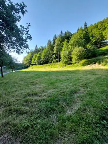 This is only meadow