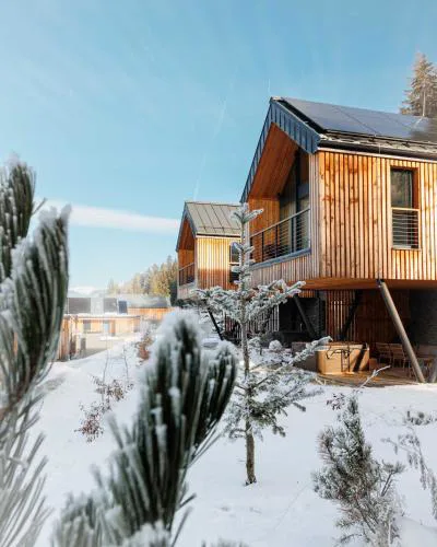 Chalet Wellness TRI VODY Demänovská Dolina