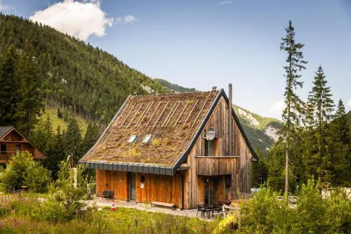 Fajna chata - Ski-in chalet in Jasna