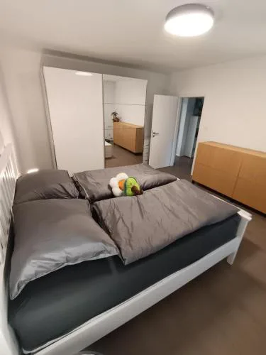 Specious Apartment in Downtown