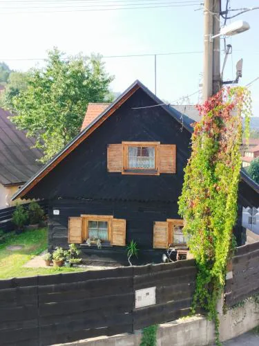 Drevenica u Holtana