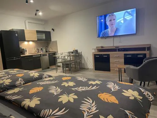 1-room apartment center Rajecké Teplice