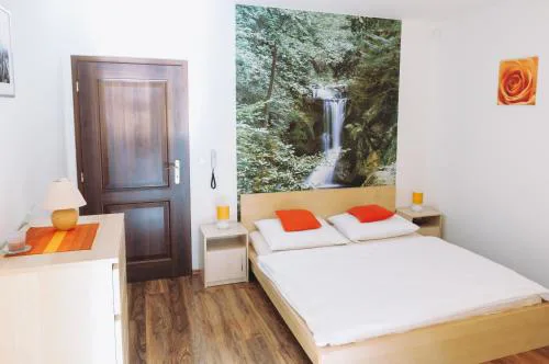 Vila Renáta - Apartmán Renáta 12