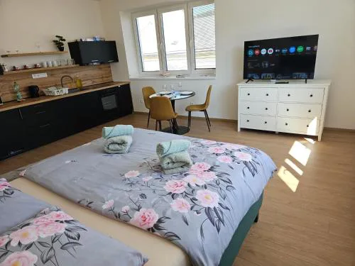 Úplne nový Apartmán Kvetinka v centre Žiliny