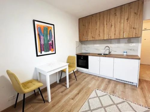 Apartmán v centre