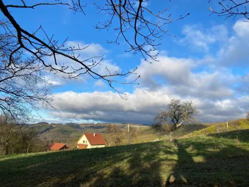 Nature Homestay