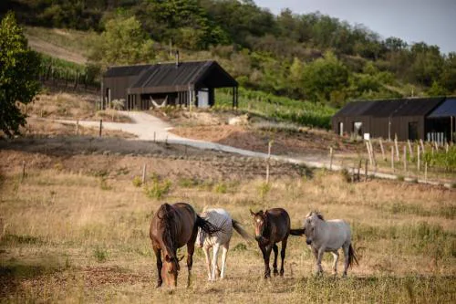 Kosa Estate