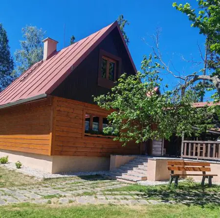 Cabin near forest
