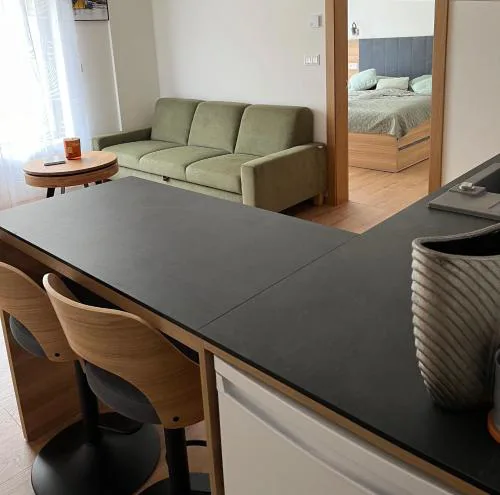 Apartment Bayerova