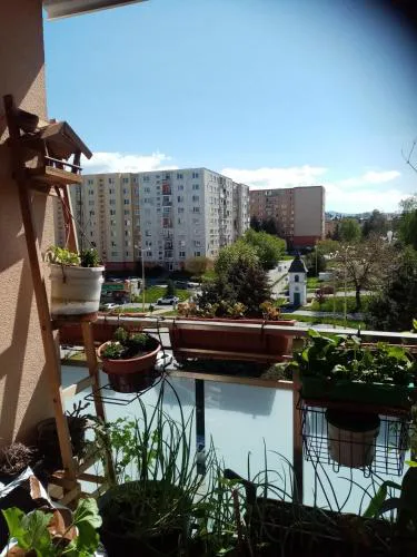 Pohodlná bytovka