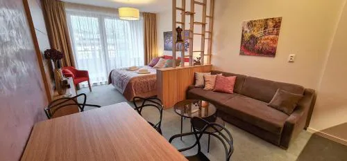 LUXURY Apartment Hrebienok D210