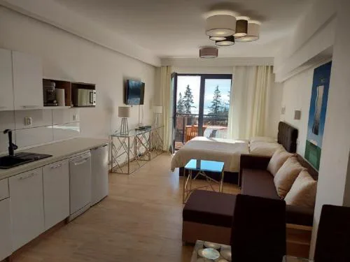 Štrbské Pleso - rezidencia ARMERIA apt 30