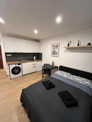 Apartmán Mlynská