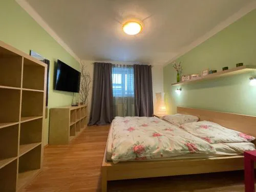 Horský Apartment David
