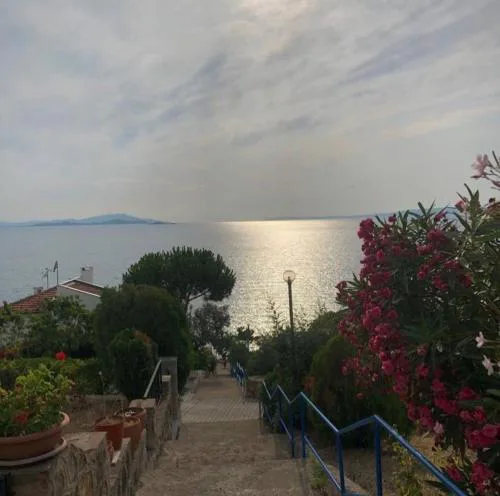 Ayvalık Gömeç Villa Garden Floor
