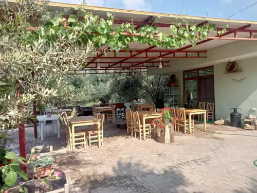 Assos Gunoven & Butik Apart Otel