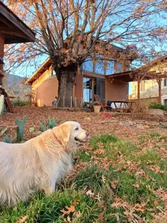 Marmaric Guesthouse