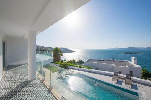 BEACH FRONT SUPER VİLLA Boss 1