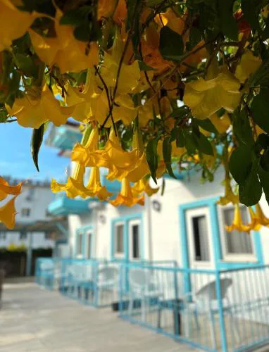 enjoy pansiyon
