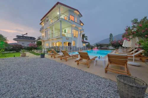 Tetra clover suites