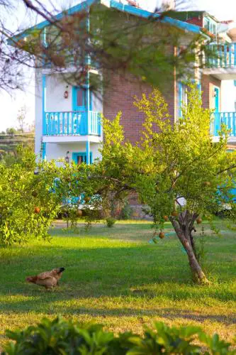 Yonca Lodge