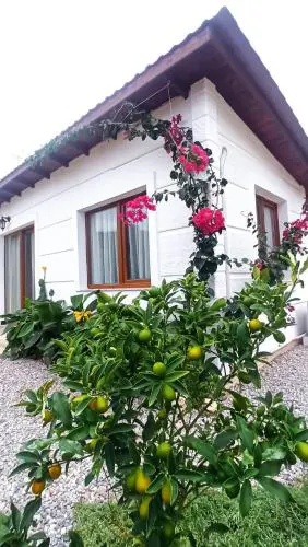 KAVURLUKOZ KaraburuN