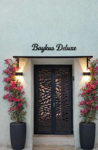 Baykus Deluxe