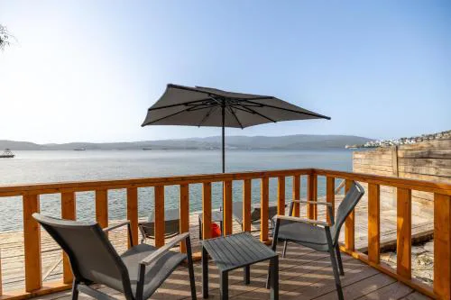 Roseira Bungalov